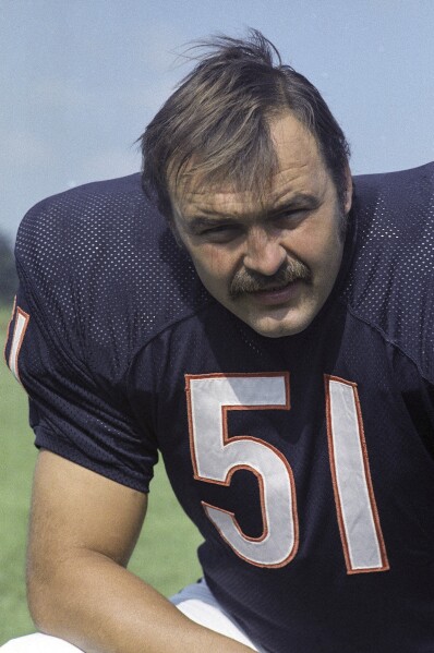 Butkus bears shop jersey